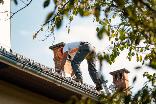 Best Tile Roofing Contractor  in East Dubuque, IL