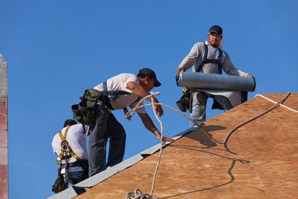 Best Commercial Roofing Services  in East Dubuque, IL