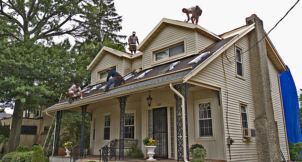 Best Commercial Roofing Services  in East Dubuque, IL